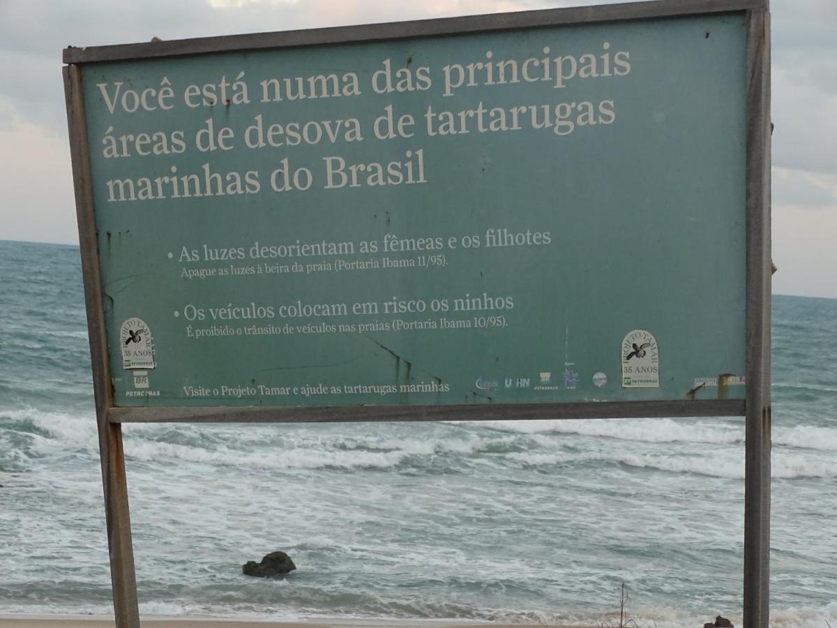 Hostel Terra Viva Praia de Pipa Extérieur photo